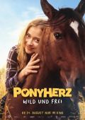 Film Plakat