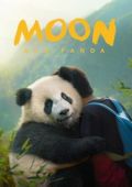 Film Plakat