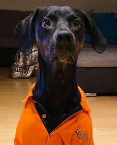Jax